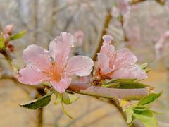 -云南艺术学院(呈贡校区)