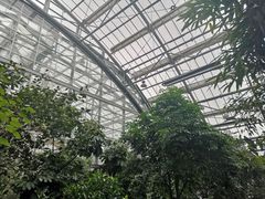 -南山植物园