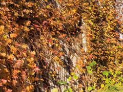 -青岛德国监狱旧址博物馆