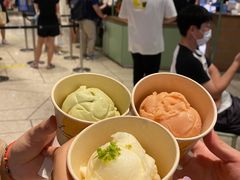 树莓雪葩-LUNEURS月乐诗 冰淇淋咖啡(环贸店)