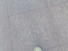-春来酒家