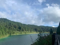 -武陵山森林公园