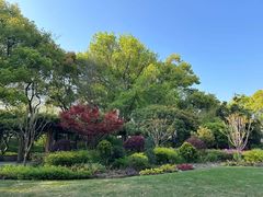 -徐家汇源景区-衡山公园