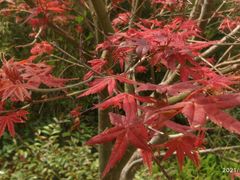-火炉山森林公园