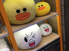 -line friends(明洞旗舰店)
