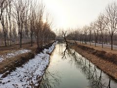-东郊湿地公园