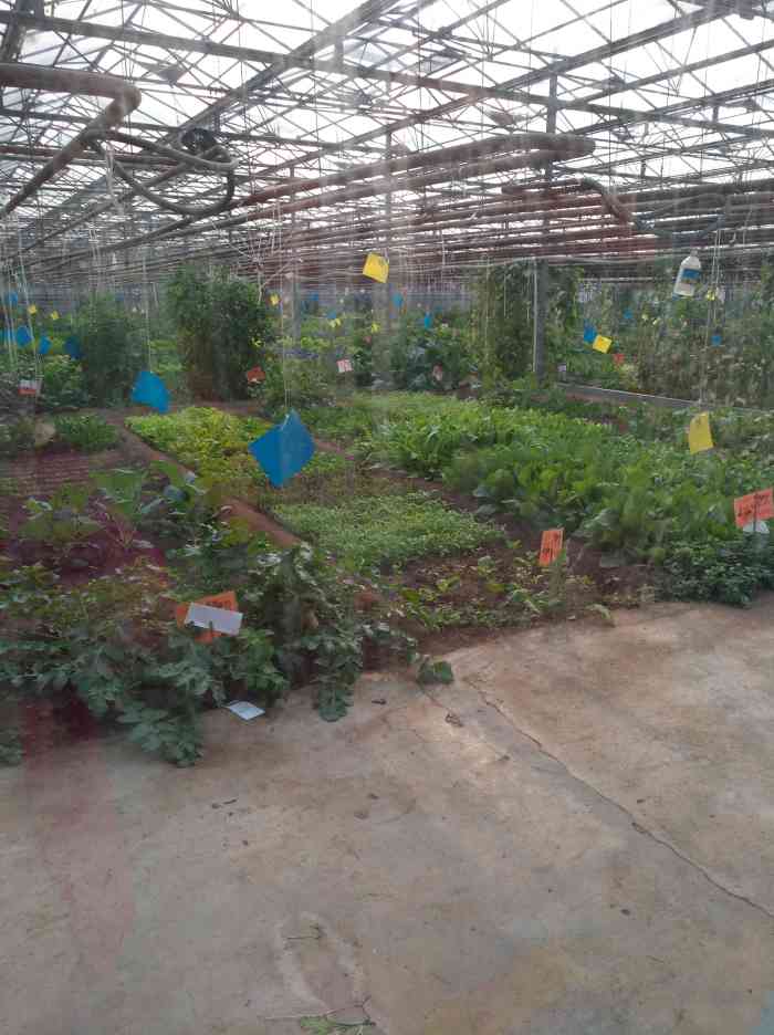 魔比斯花园-"设计理念很有创新意义,将生态园和孩子的游.