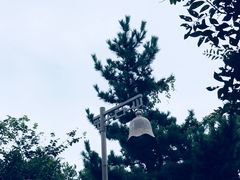 -普陀山慧济禅寺