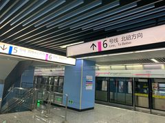 -大龙山(地铁站)