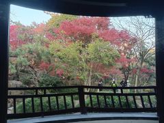 -秋霞圃