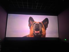 -幸福蓝海国际影城(河西店)