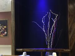 -伊爽串吧