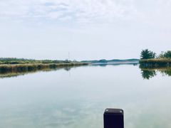 -西青郊野公园