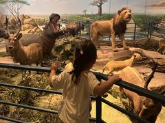 -陕西自然博物馆