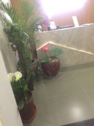 点击看大图 -翎兰瑜伽·普拉提