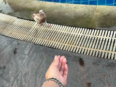 -曼谷王子宫殿酒店