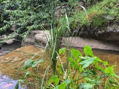 -狼牙山风景区