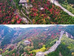 -龙口南山旅游景区