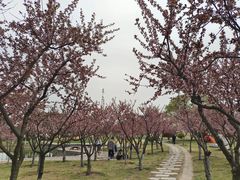 -唐岛湾公园