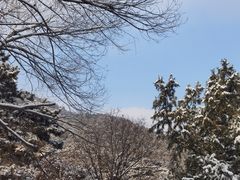 -香山公园