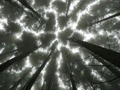 -山王坪喀斯特国家生态公园