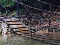 -南海湾森林生态园