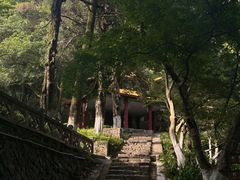-莫干山风景区