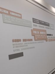 -加减美医美连锁品牌
