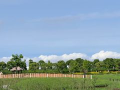 -春花秋色城市公园