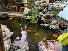 -道南書院·私房菜·早午茶·茶馆