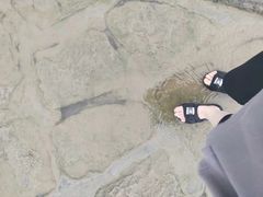 -南汇新城海滩