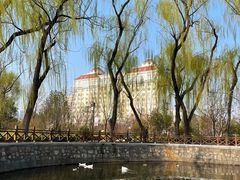 -迎泽公园
