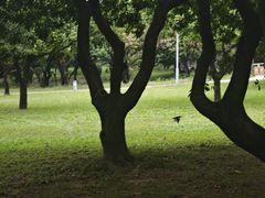 -东莞松山湖凯悦酒店