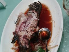 广式老虎斑-骏莱海鲜鱼港(五角场店)