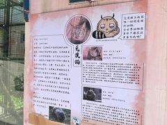 -青藏高原野生动物园
