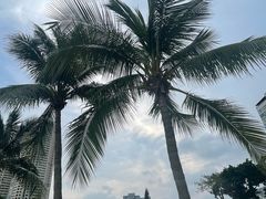 -珠海市博物馆