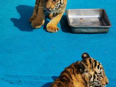 -济南野生动物世界