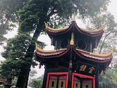 -峨眉山报国寺