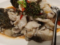 青花椒蒸龙胆鱼-闽和南(深圳万象城店)