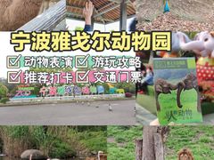 -宁波野生动物园