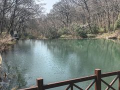 -句容茅山景区