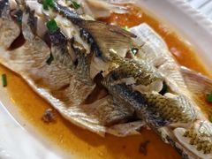 -小六农家乐(崇明西沙湿地店)