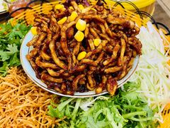 京酱肉丝-正阳春烤鸭店(杨楼店)