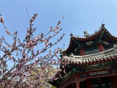 -莲池书院博物馆