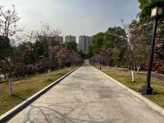 -四望岗公园