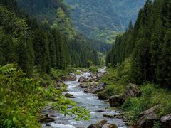 -瓦屋山景区