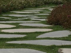 景点-府河摄影公园