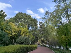 -金鸡湖桃花岛