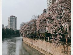 -成都市活水公园