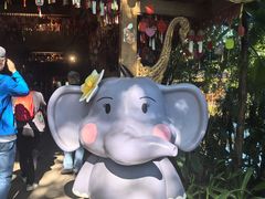 -西双版纳集贸市场